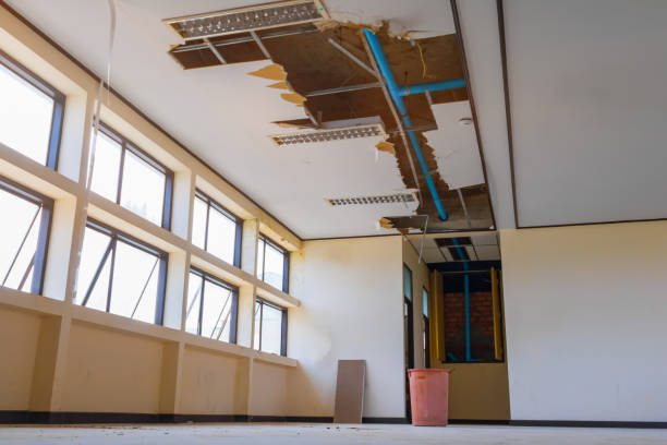 Best Flood restoration services  in Crystal Lake, FL