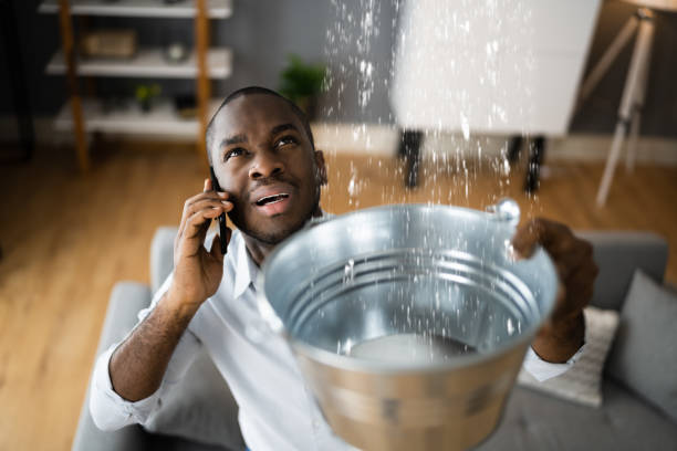 Best Ceiling water damage repair  in Crystal Lake, FL