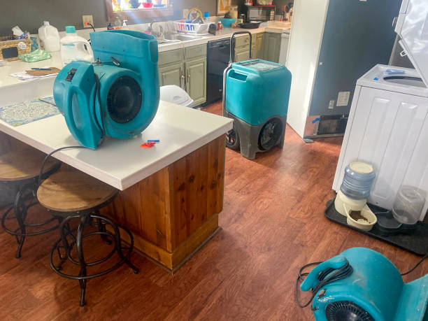 Best Water damage restoration mold remediation  in Crystal Lake, FL