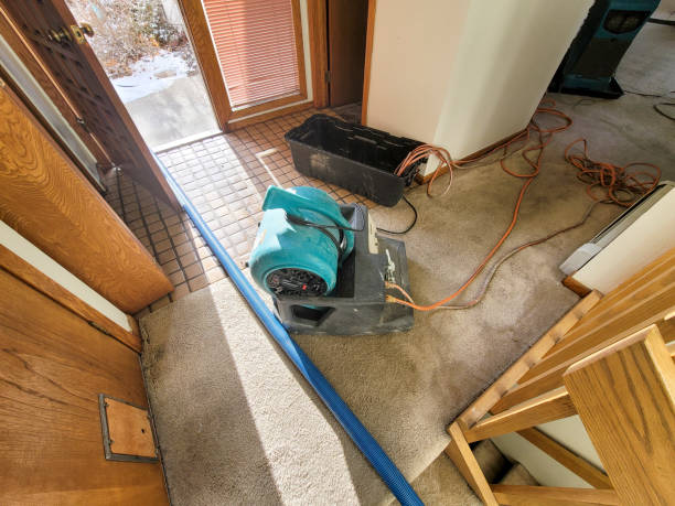 Best Professional water damage repair  in Crystal Lake, FL