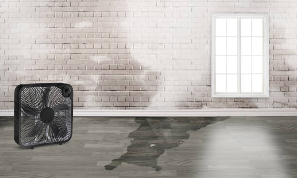 Best Flooded house restoration  in Crystal Lake, FL