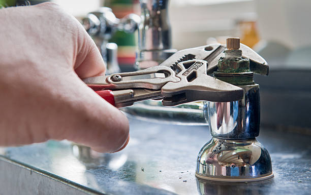 Best Flooded house restoration  in Crystal Lake, FL