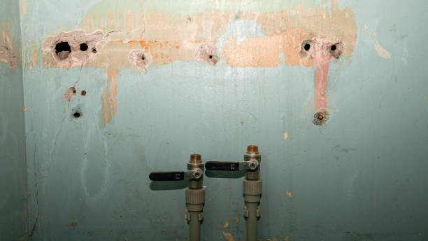 Best Water damage restoration near me  in Crystal Lake, FL