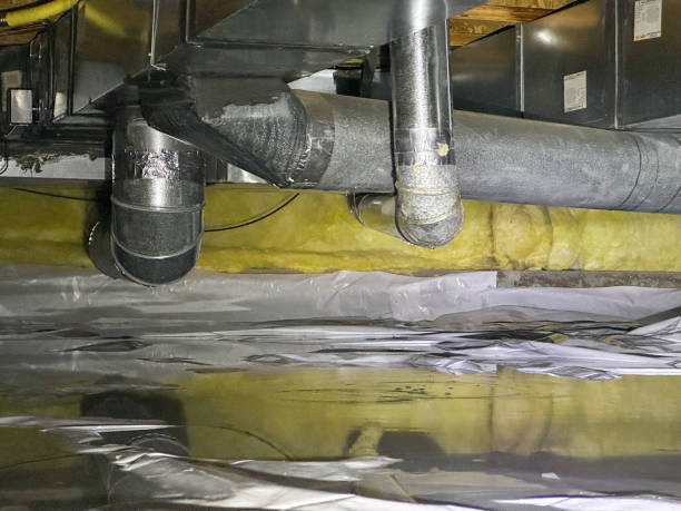 Best Water damage repair service  in Crystal Lake, FL