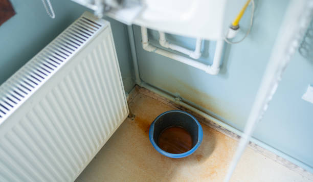Best Carpet water damage restoration  in Crystal Lake, FL