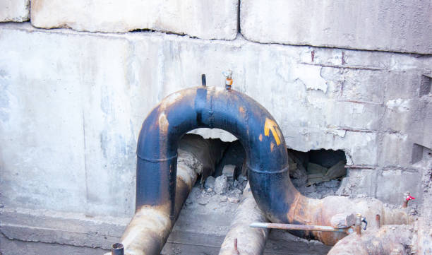 Best Commercial water damage restoration  in Crystal Lake, FL