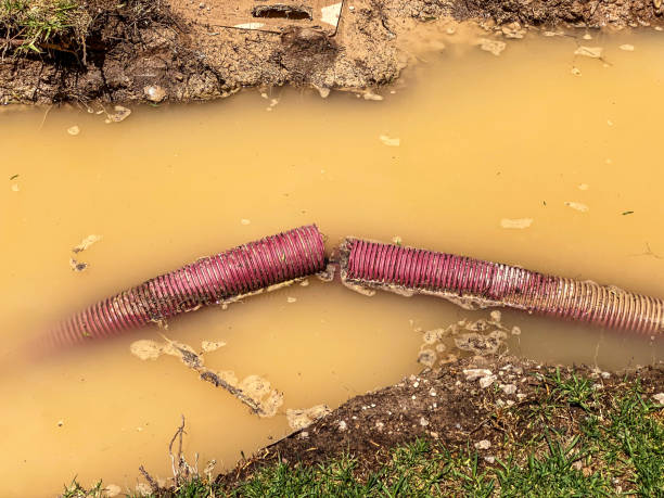 Best Water damage cleanup near me  in Crystal Lake, FL
