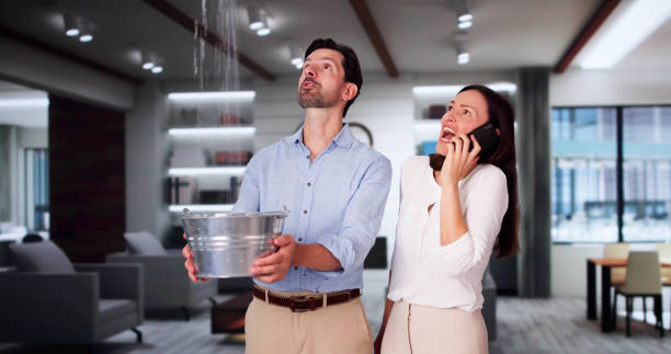  Crystal Lake, FL Water damage restoration Pros