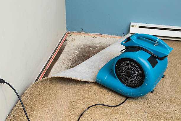Best 24-hour water damage restoration  in Crystal Lake, FL