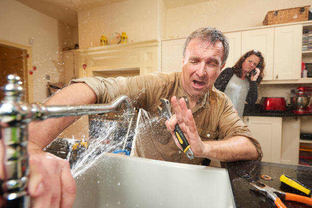 Best Mold removal after water damage  in Crystal Lake, FL